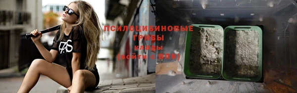 прущие грибы Алексеевка
