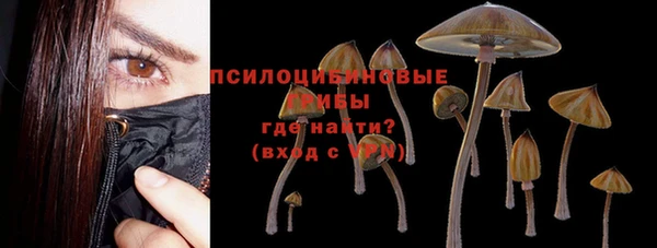 спайс Алзамай
