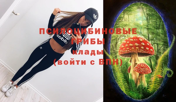 не бодяженный Осташков