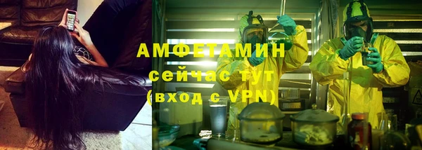 хмурый Алексин